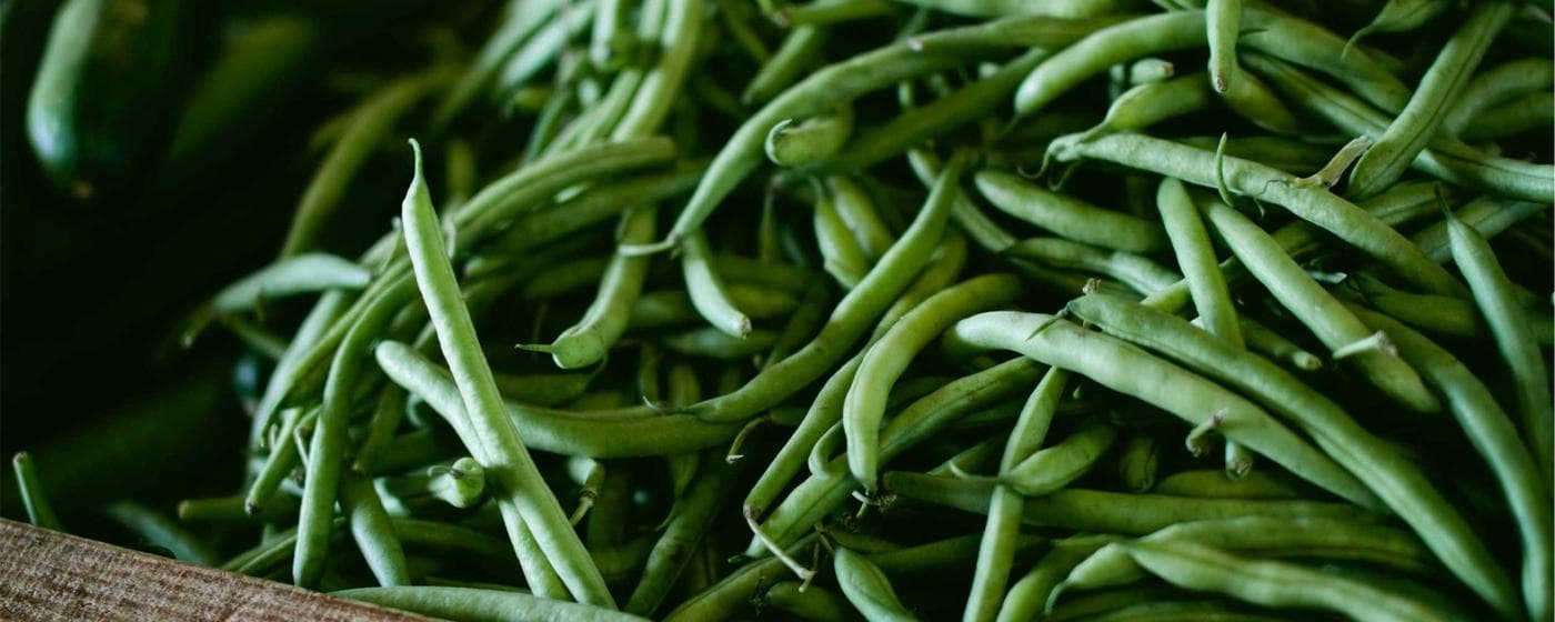 Burial & Cemetery Services in Alexander City, Alabama: Costs & Options (2026) hero image