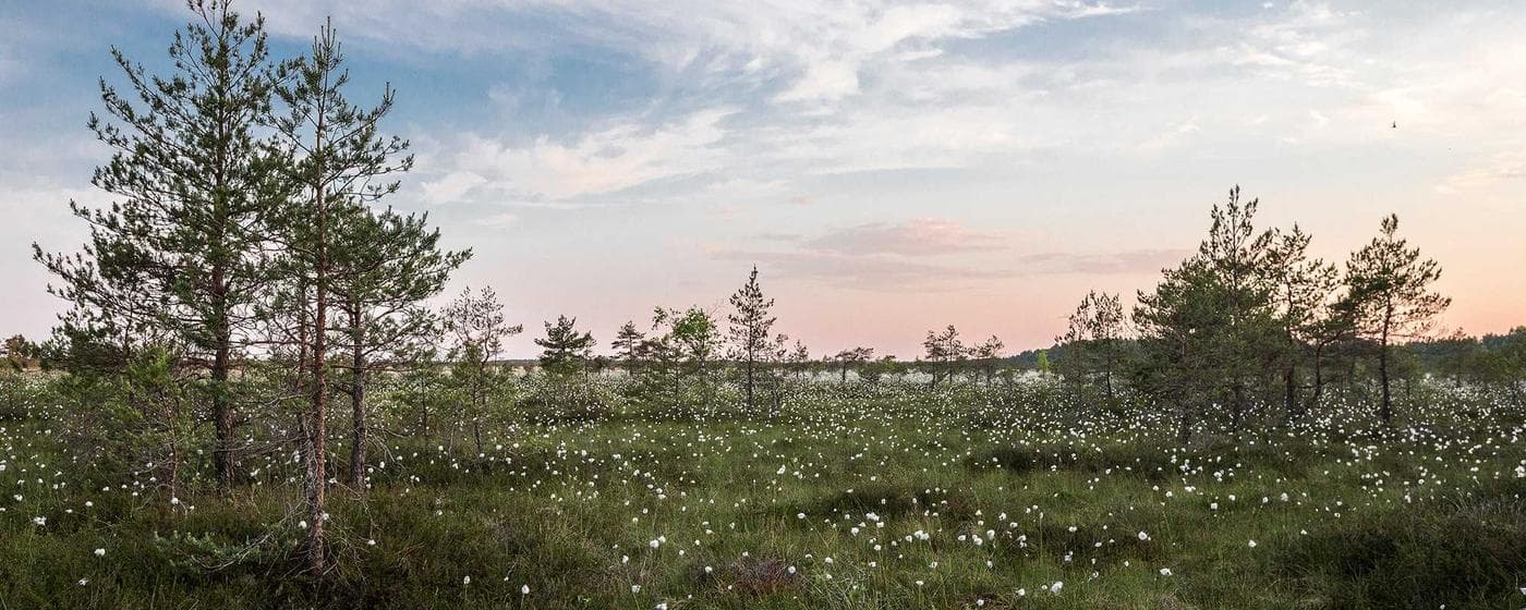 Burial & Cemetery Services in Alexandria, Indiana: Costs & Options (2026) hero image