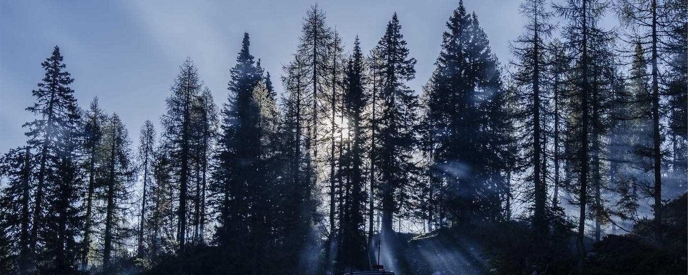 Burial & Cemetery Services in Annapolis, Maryland: Costs & Options (2026) hero image