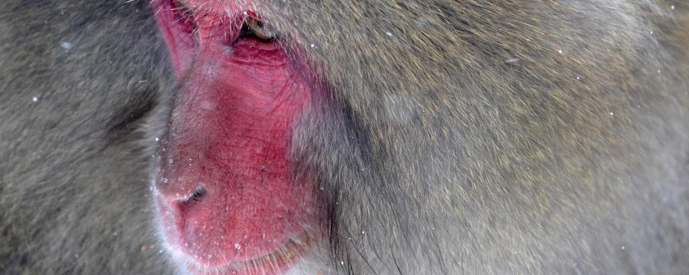 Burial & Cemetery Services in Atlanta, Texas: Costs & Options (2026) hero image