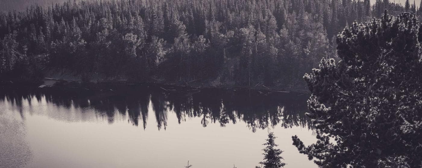 Burial & Cemetery Services in Bonita, California: Costs & Options (2026) hero image