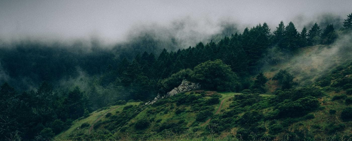 Burial & Cemetery Services in Bremerton, Washington: Costs & Options (2026) hero image