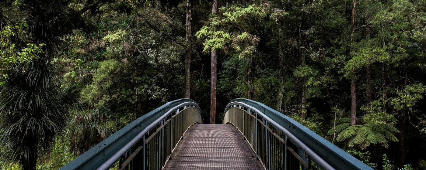 Burial & Cemetery Services in Brownsville, Tennessee: Costs & Options (2026) hero image