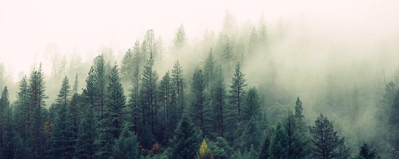 Burial & Cemetery Services in Carleton, Michigan: Costs & Options (2026) hero image