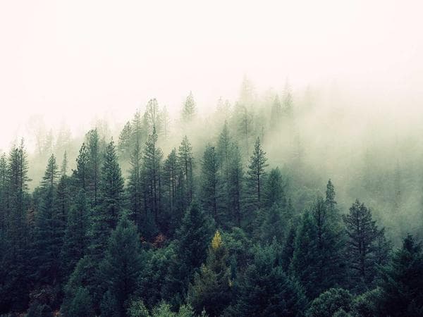 Burial & Cemetery Services in Carleton, Michigan: Costs & Options (2026)