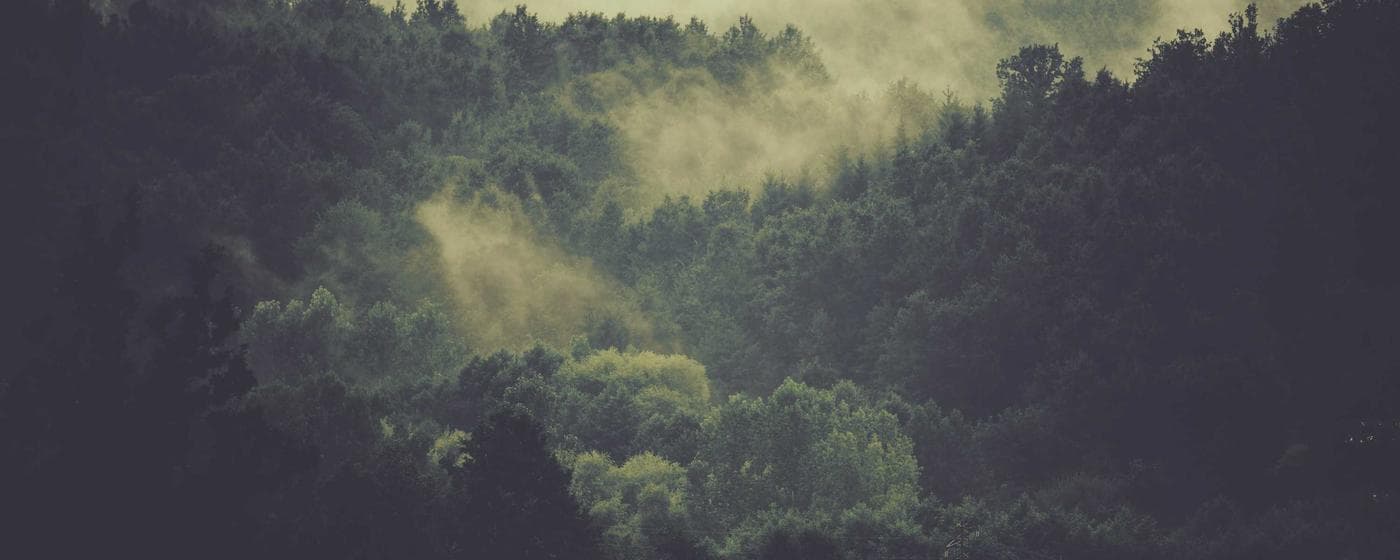 Burial & Cemetery Services in Coram, New York: Costs & Options (2026) hero image