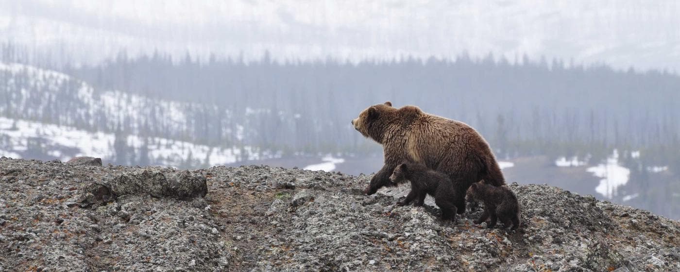 Burial & Cemetery Services in Denver, Colorado: Costs & Options (2026) hero image