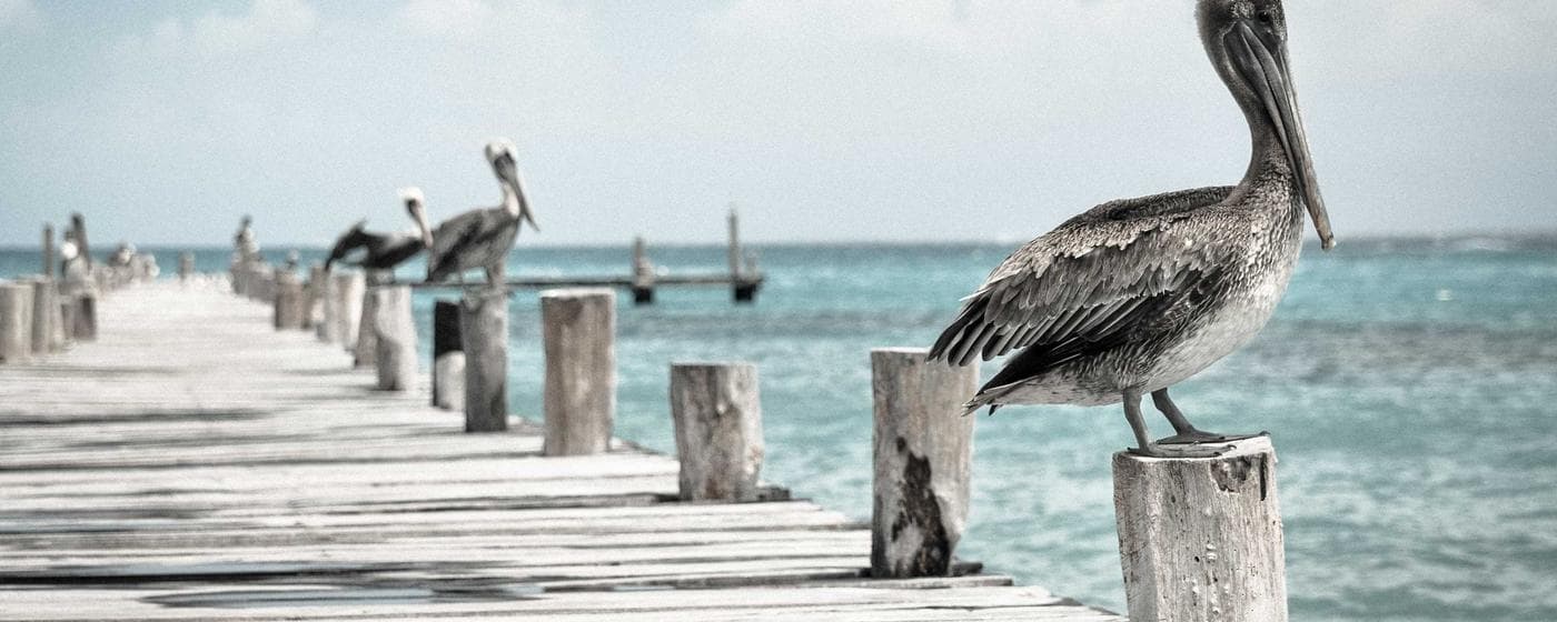 Burial & Cemetery Services in Eatonton, Georgia: Costs & Options (2026) hero image