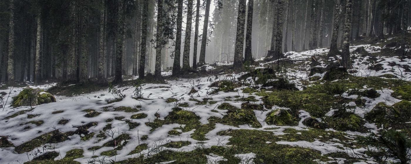 Burial & Cemetery Services in Flagler Beach, Florida: Costs & Options (2026) hero image