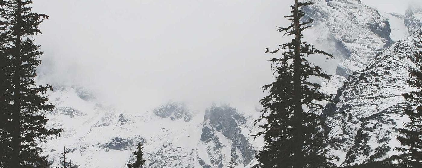 Burial & Cemetery Services in Hamtramck, Michigan: Costs & Options (2026) hero image