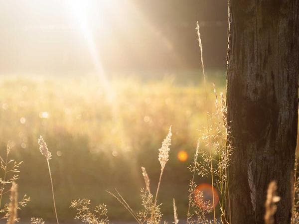 Burial & Cemetery Services in Harrington, Delaware: Costs & Options (2026)