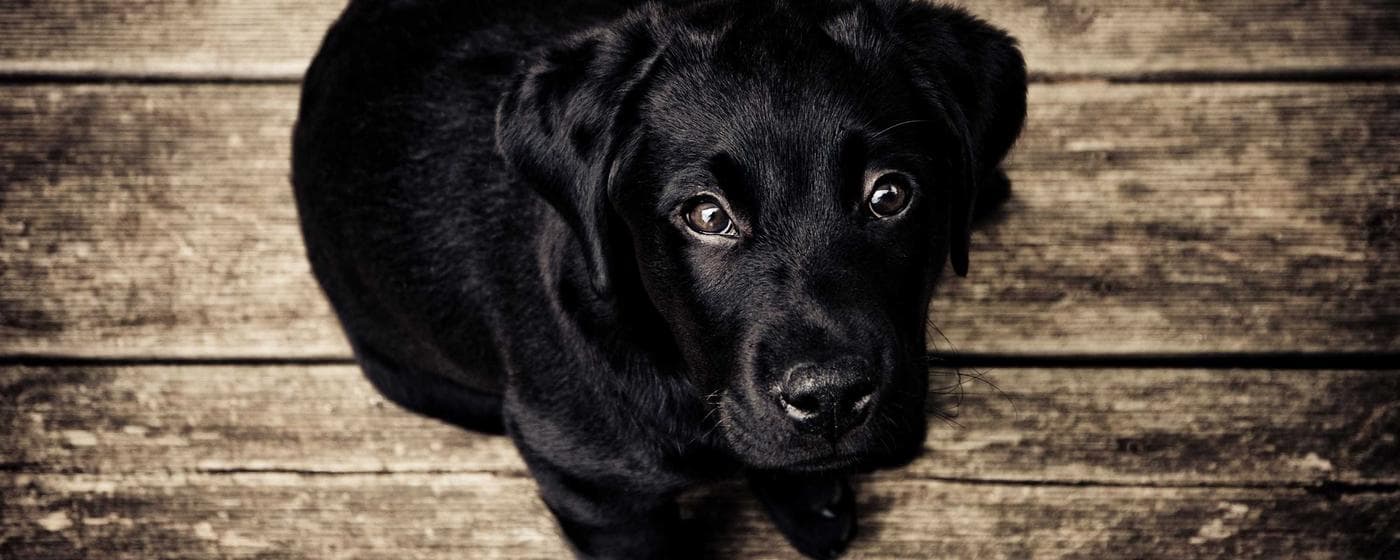 Burial & Cemetery Services in Havre De Grace, Maryland: Costs & Options (2026) hero image