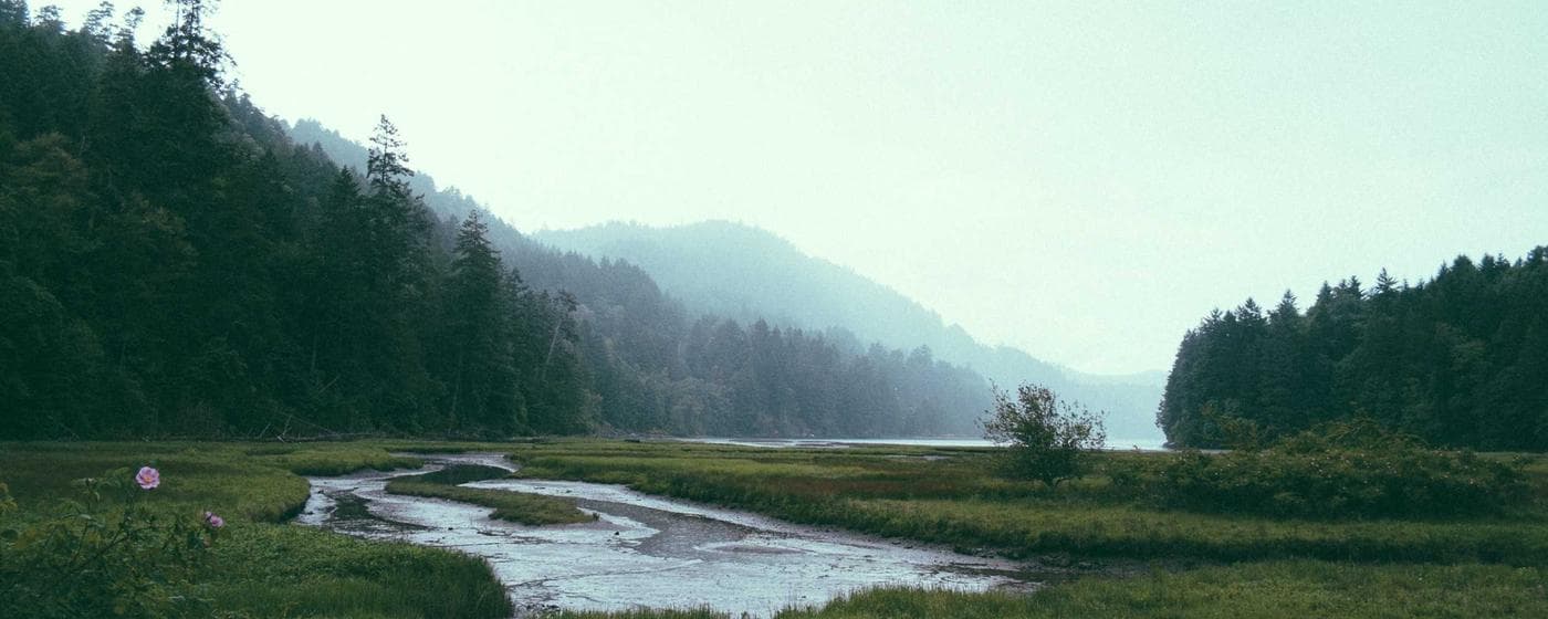 Burial & Cemetery Services in Kokomo, Indiana: Costs & Options (2026) hero image