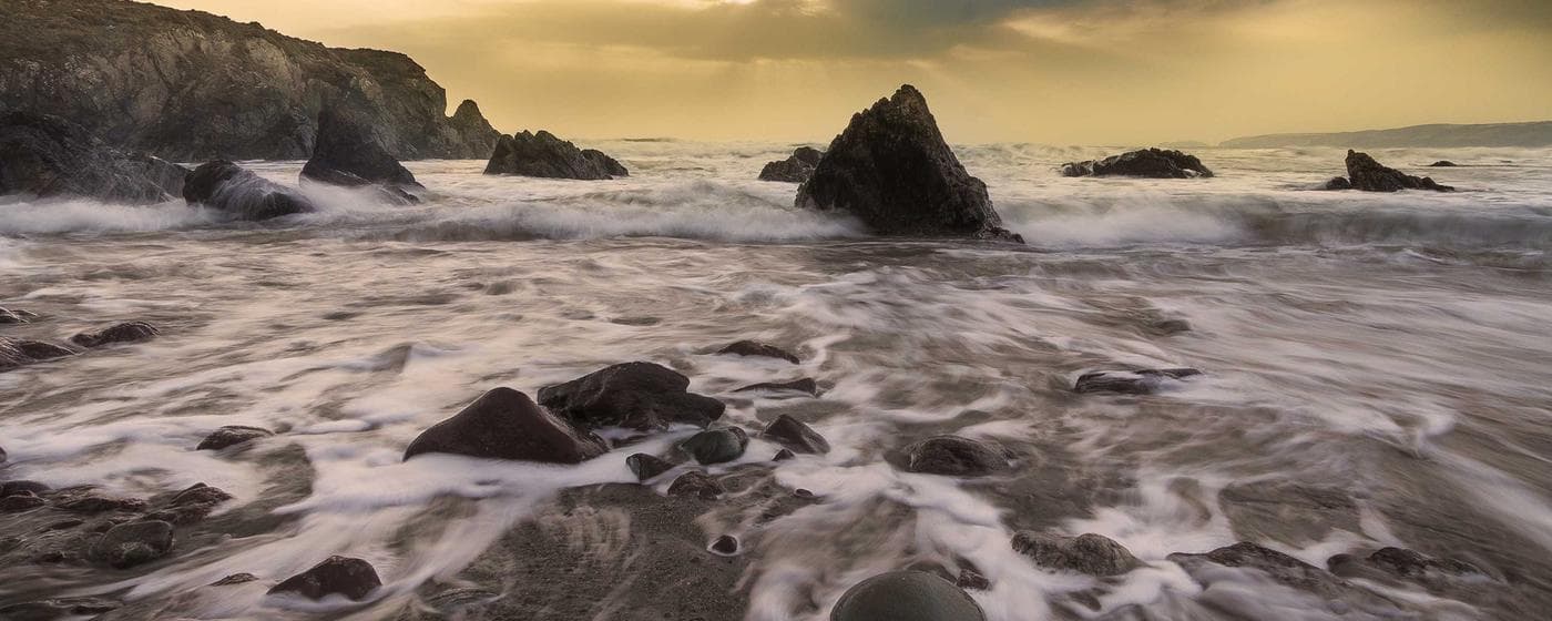 Burial & Cemetery Services in Largo, Florida: Costs & Options (2026) hero image