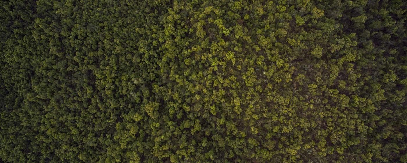 Burial & Cemetery Services in Linden, Texas: Costs & Options (2026) hero image