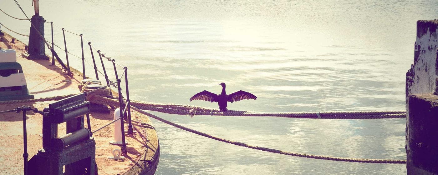 Burial & Cemetery Services in Lufkin, Texas: Costs & Options (2026) hero image