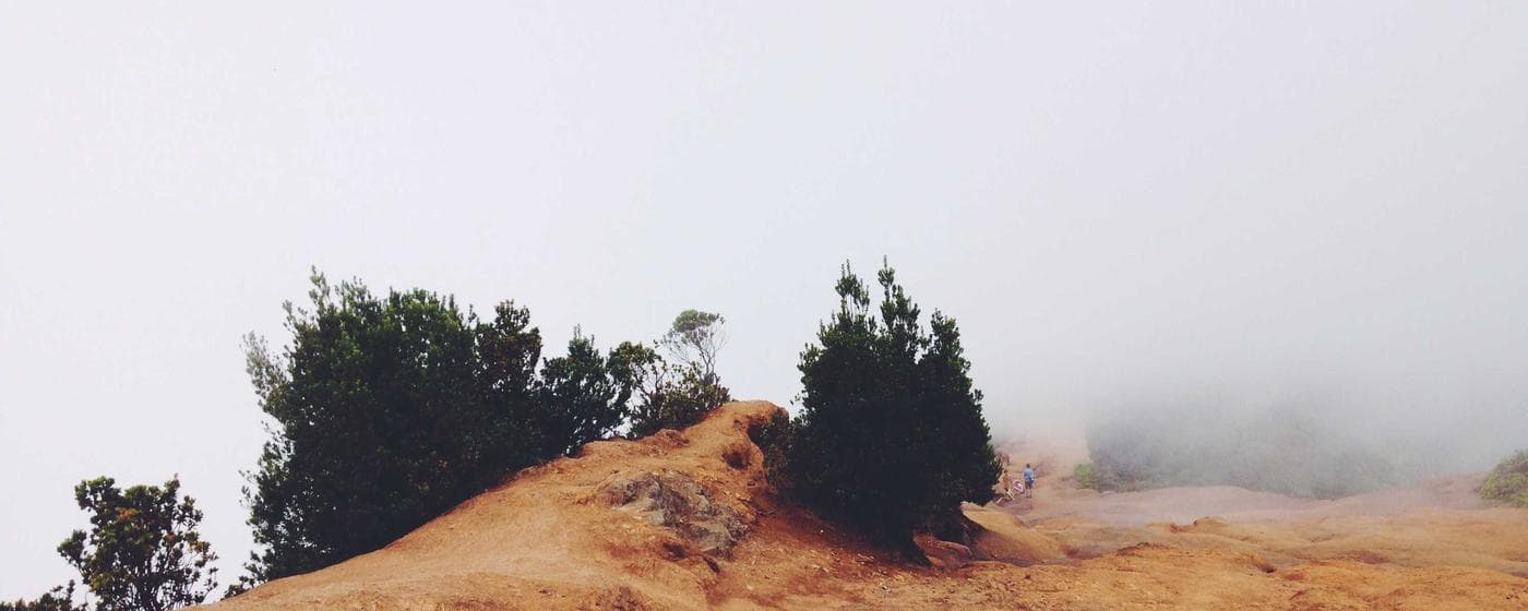 Burial & Cemetery Services in McAllen, Texas: Costs & Options (2026) hero image