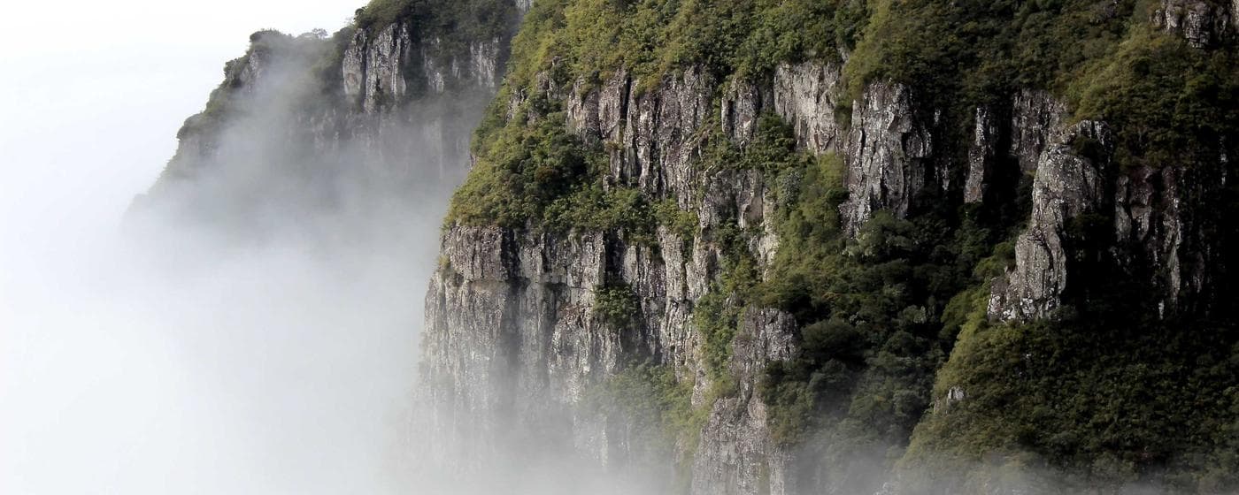 Burial & Cemetery Services in Ozone Park, New York: Costs & Options (2026) hero image