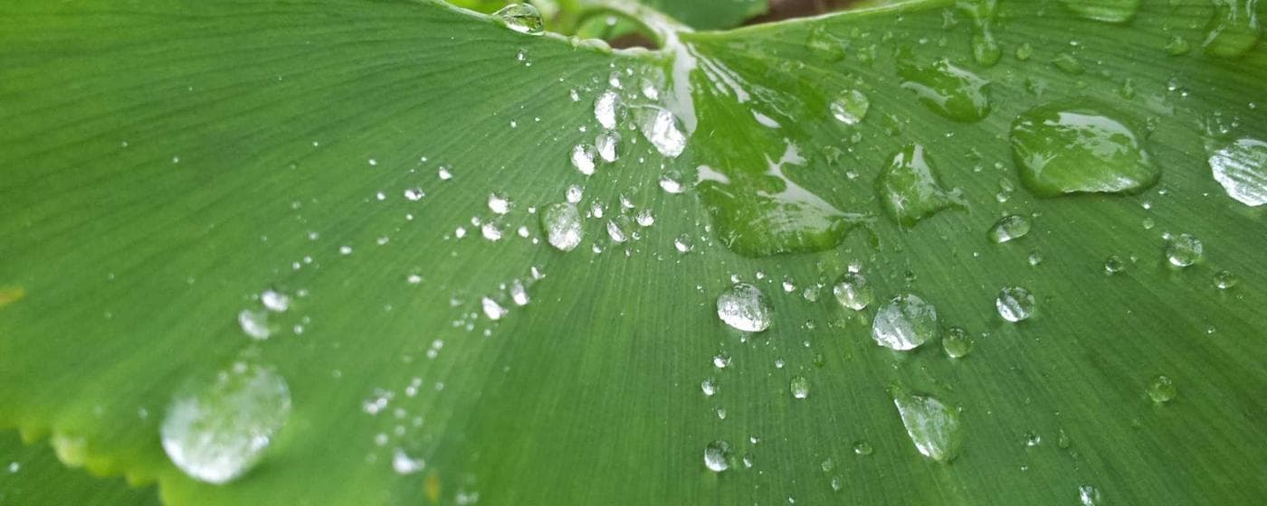 Burial & Cemetery Services in Port Orchard, Washington: Costs & Options (2026) hero image