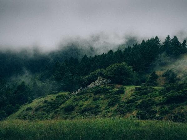 Burial & Cemetery Services in Raeford, North Carolina: Costs & Options (2026)