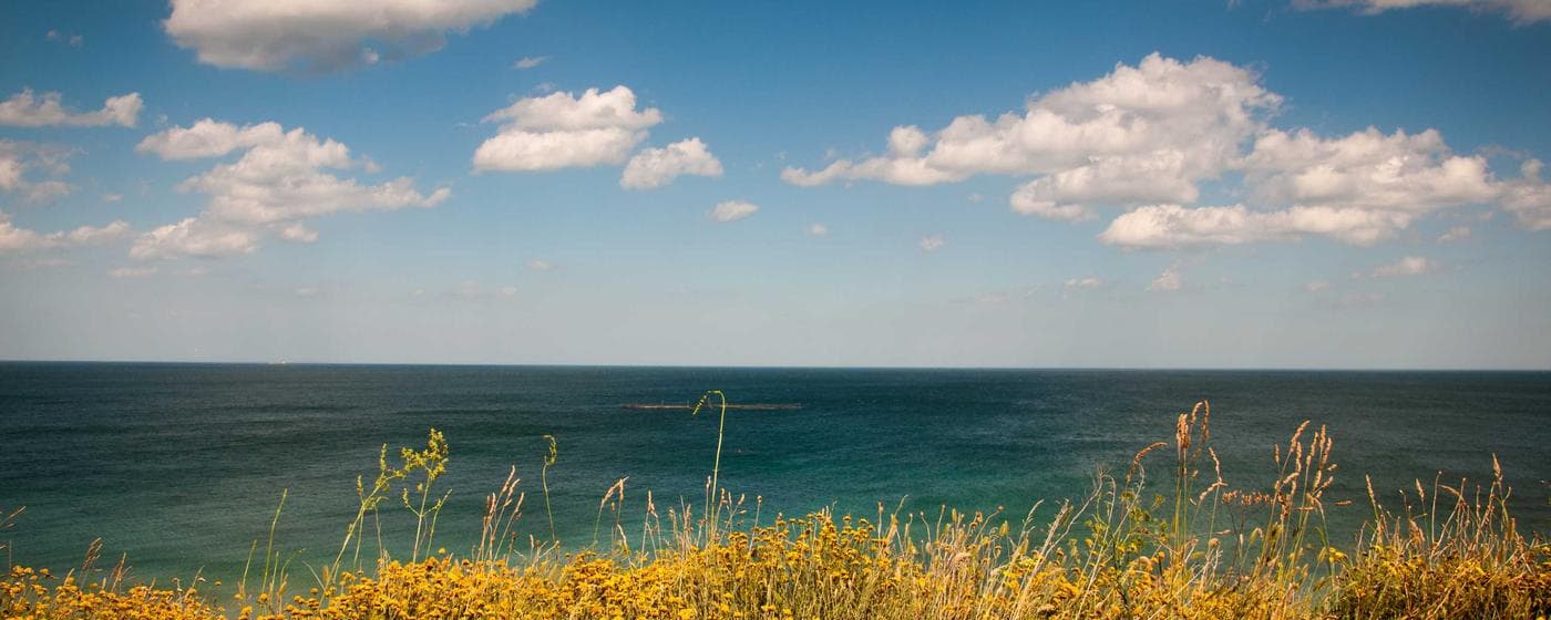 Burial & Cemetery Services in Rancho Palos Verdes, California: Costs & Options (2026) hero image