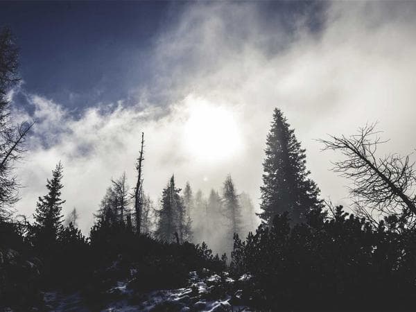 Burial & Cemetery Services in Richmond, Vermont: Costs & Options (2026)