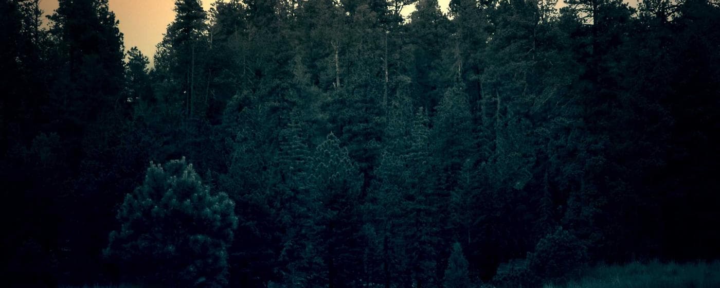 Burial & Cemetery Services in Sahuarita, Arizona: Costs & Options (2026) hero image