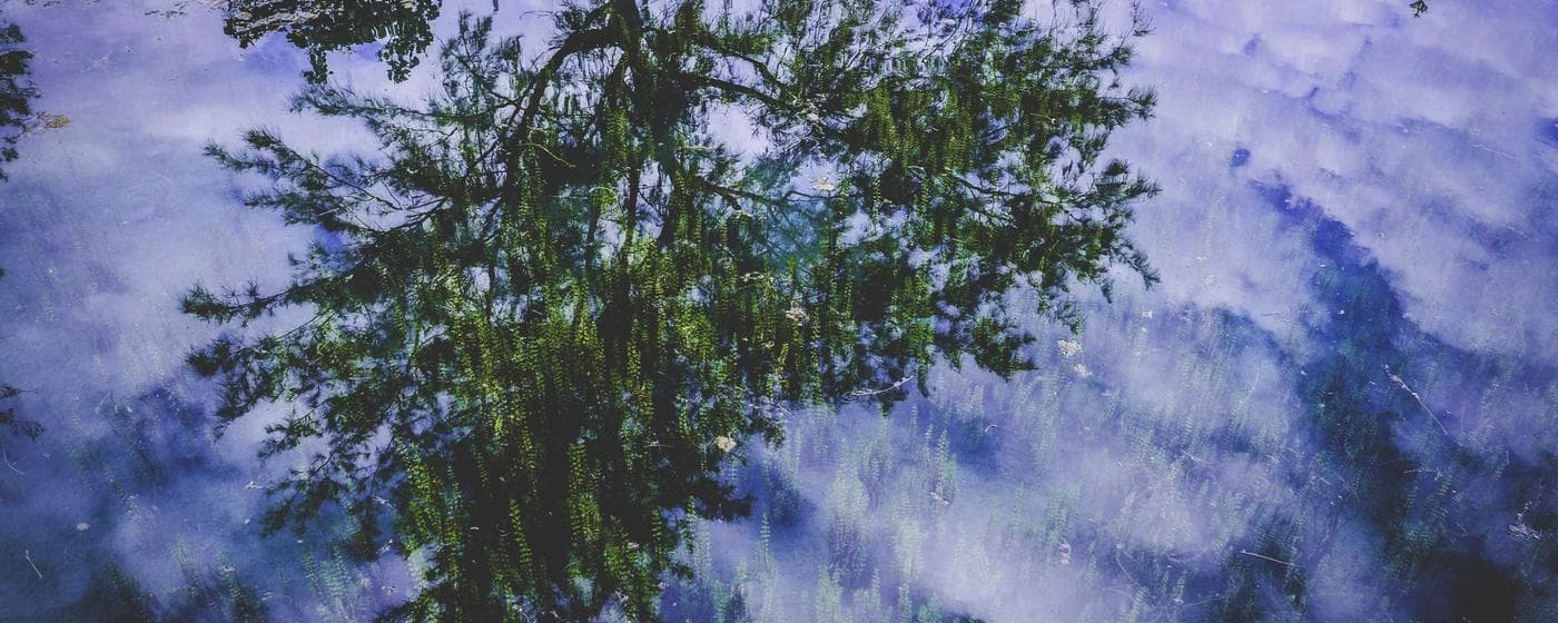 Burial & Cemetery Services in San Marcos, Texas: Costs & Options (2026) hero image