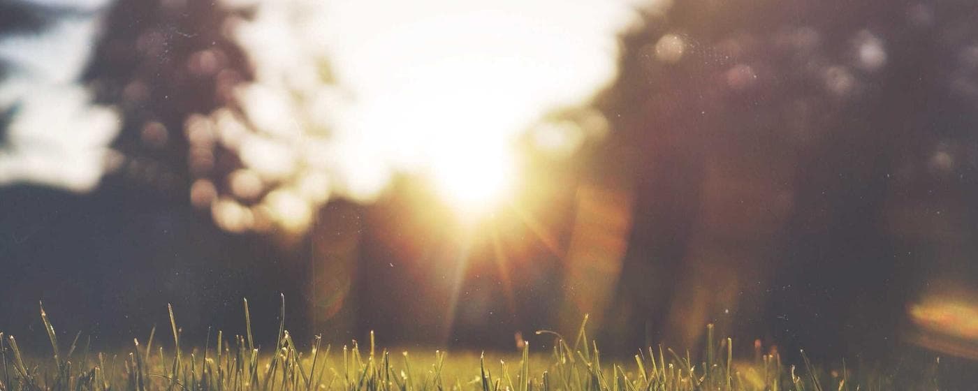 Burial & Cemetery Services in Shrewsbury, Massachusetts: Costs & Options (2026) hero image