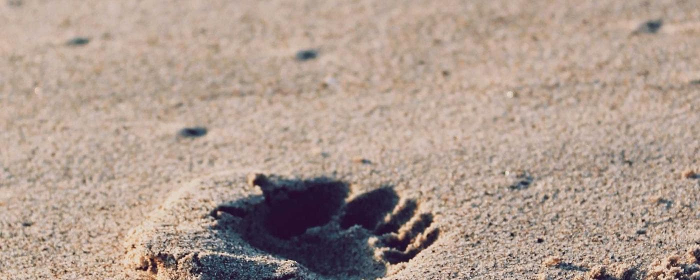 Burial & Cemetery Services in Smyrna, Georgia: Costs & Options (2026) hero image