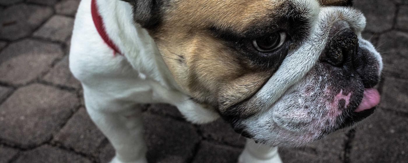 Burial & Cemetery Services in West Bradenton, Florida: Costs & Options (2026) hero image