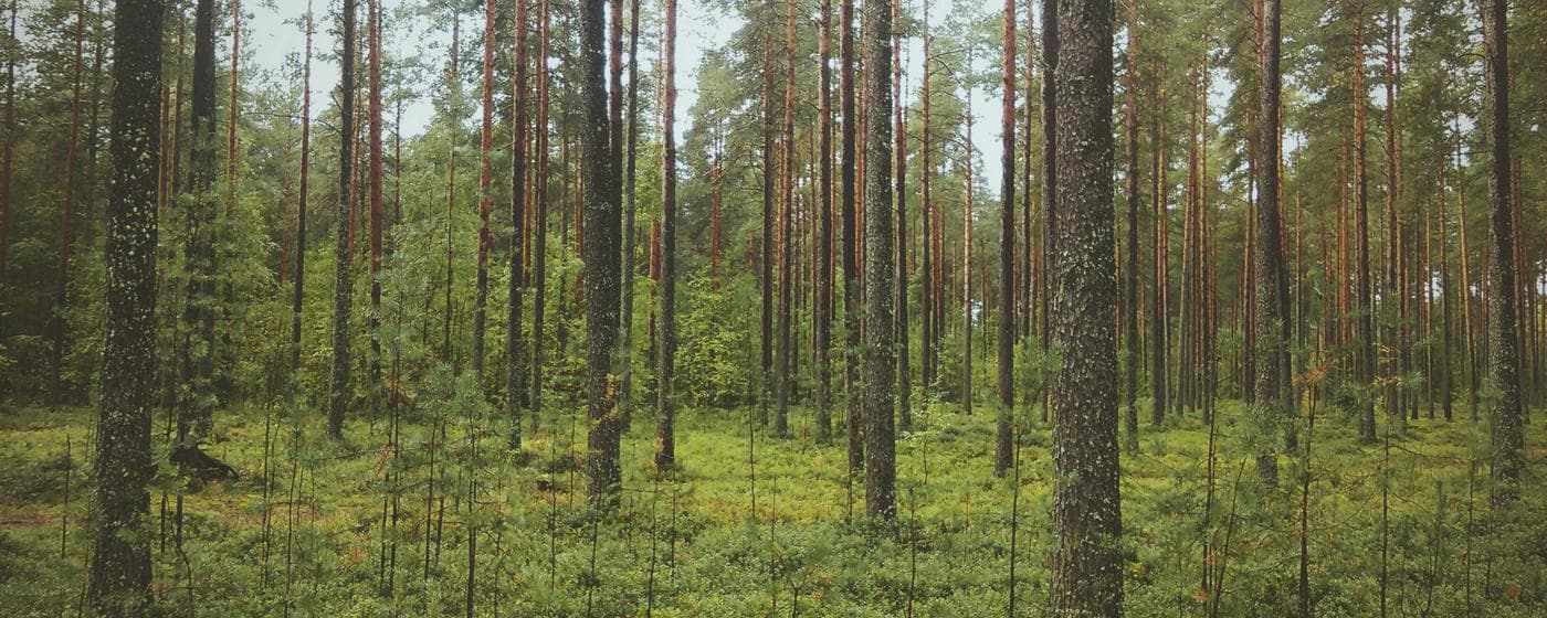 Burial & Cemetery Services in Westmoreland, Tennessee: Costs & Options (2026) hero image