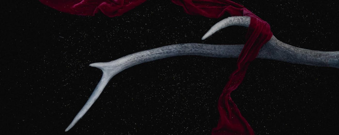 Burial & Cemetery Services in York, Pennsylvania: Costs & Options (2026) hero image