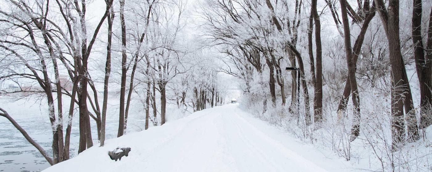 Choosing Music for a Funeral Service hero image