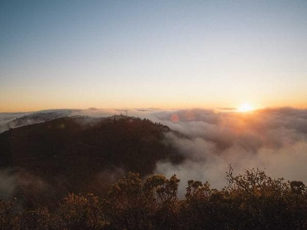 Cremation Services in Abbeville, Alabama: Costs, Providers & Options (2026)