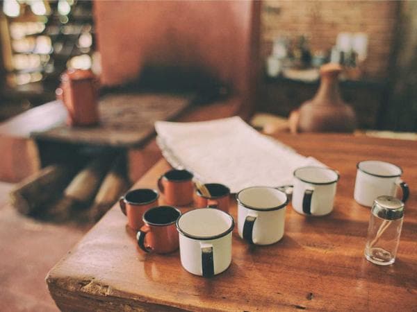 Cremation Services in Alameda, California: Costs, Providers & Options (2026)
