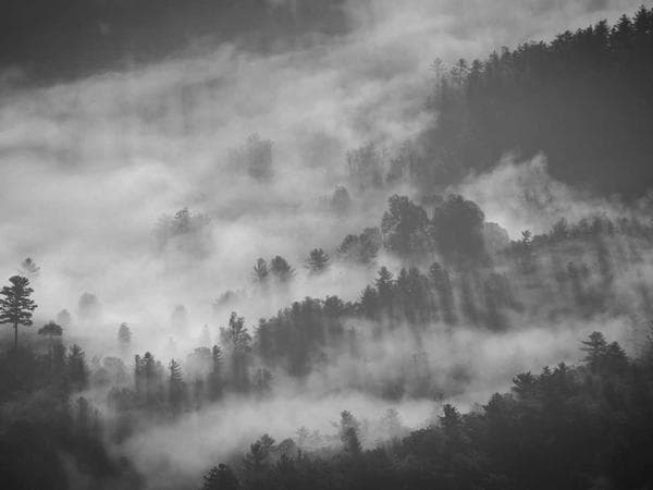 Cremation Services in Alma, Wisconsin: Costs, Providers & Options (2026)