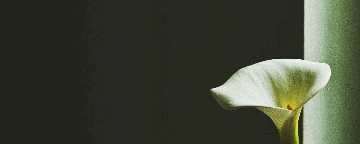 Cremation Services in Ambler, Pennsylvania: Costs, Providers & Options (2026) hero image