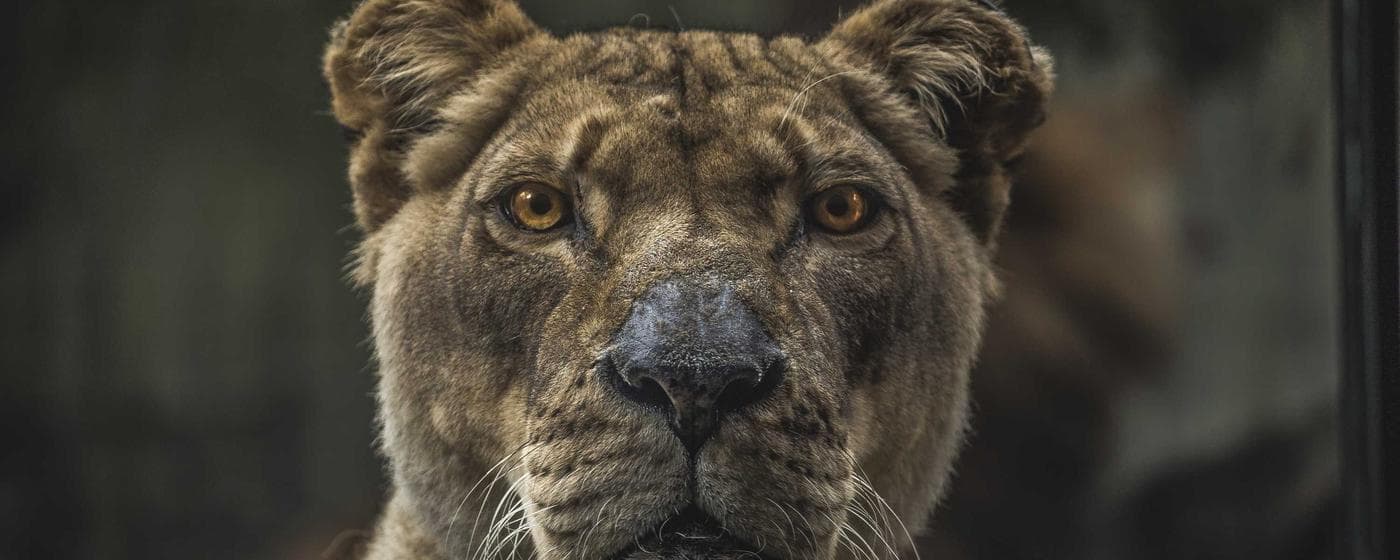 Cremation Services in Arlington, Virginia: Costs, Providers & Options (2026) hero image