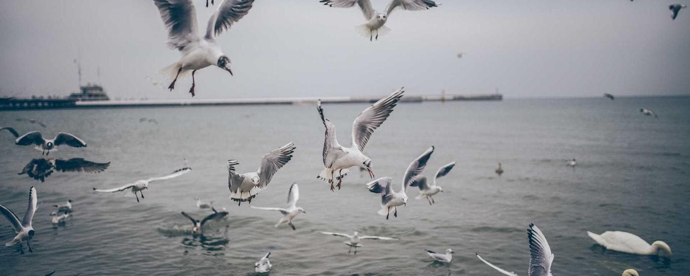 Cremation Services in Arvada, Colorado: Costs, Providers & Options (2026) hero image