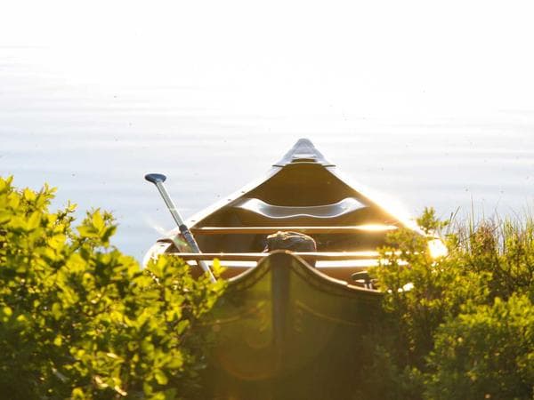 Cremation Services in Aurora, Nebraska: Costs, Providers & Options (2026)
