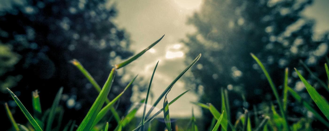 Cremation Services in Belford, New Jersey: Costs, Providers & Options (2026) hero image