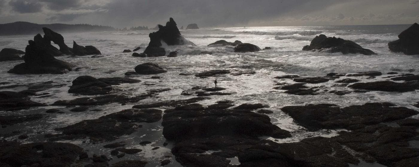 Cremation Services in Benton, Arkansas: Costs, Providers & Options (2026) hero image