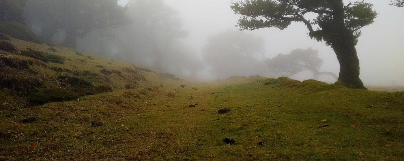 Cremation Services in Boca Raton, Florida: Costs, Providers & Options (2026) hero image