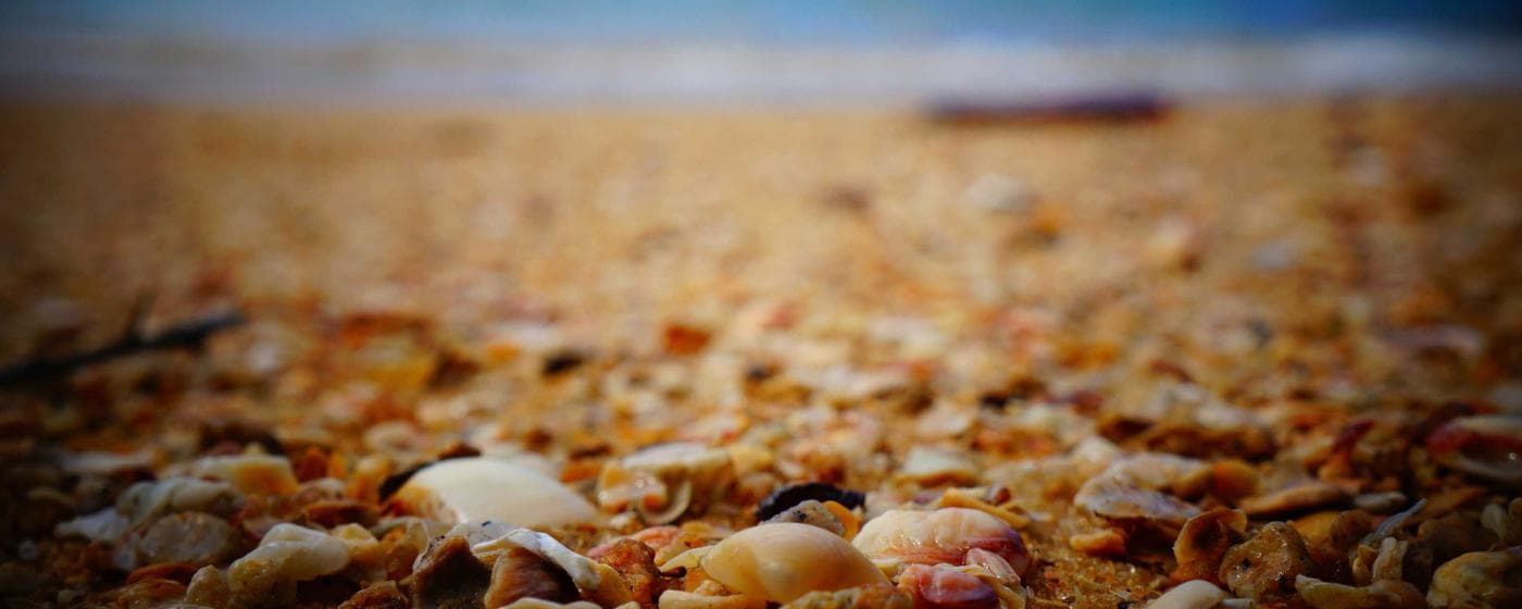 Cremation Services in Bolivar, Missouri: Costs, Providers & Options (2026) hero image