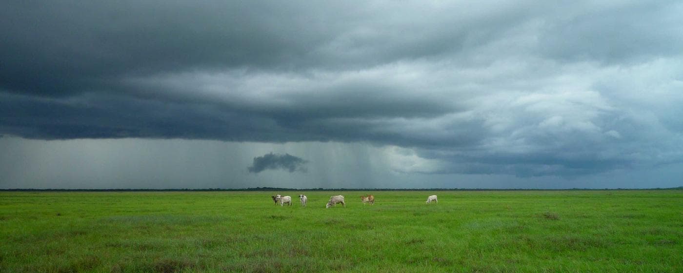 Cremation Services in Bossier City, Louisiana: Costs, Providers & Options (2026) hero image