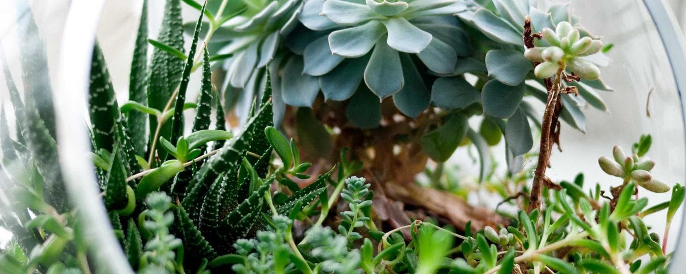 Cremation Services in Brainerd, Minnesota: Costs, Providers & Options (2026) hero image