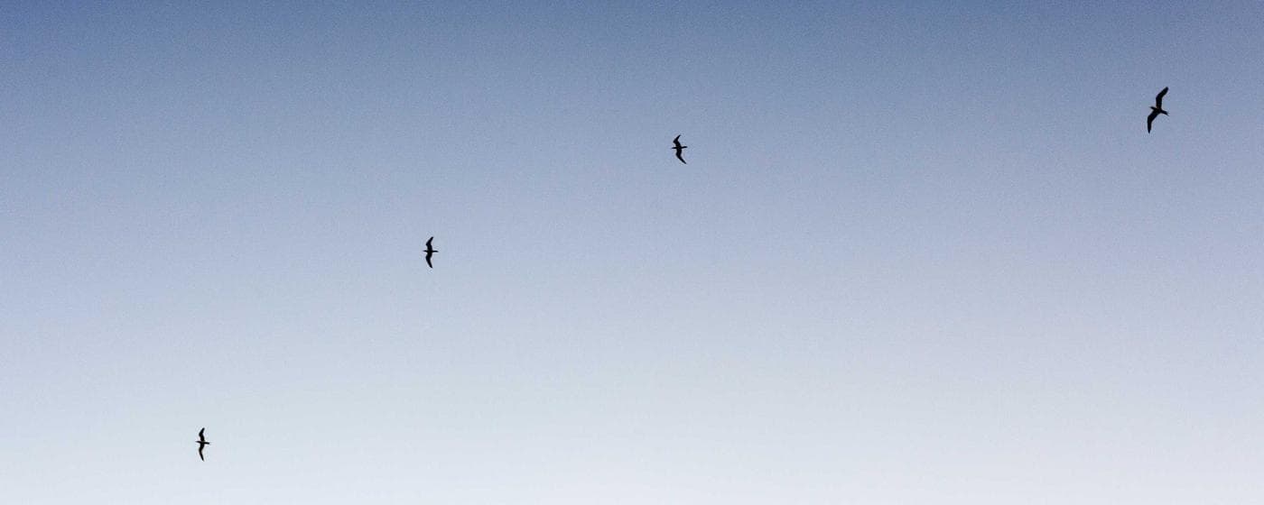 Cremation Services in Brandon, Florida: Costs, Providers & Options (2026) hero image