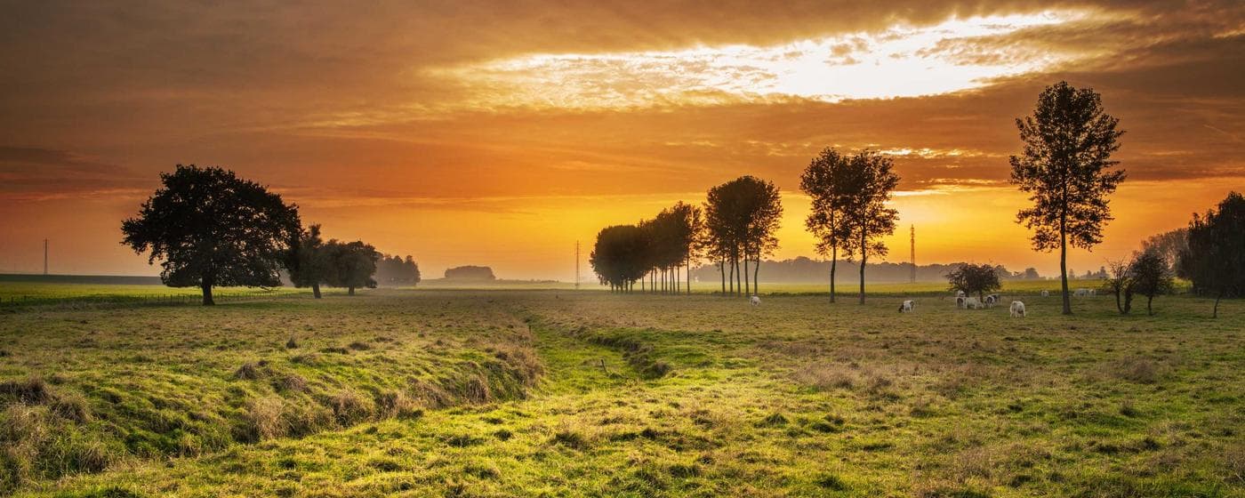 Cremation Services in Brownsville, Tennessee: Costs, Providers & Options (2026) hero image