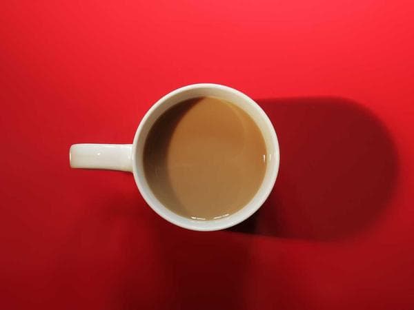 Cremation Services in Camden, Maine: Costs, Providers & Options (2026)